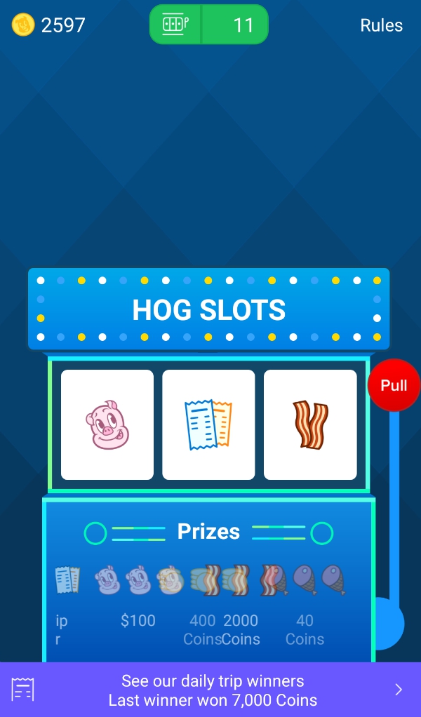 Receipt Hog Hog Slots Main Screen