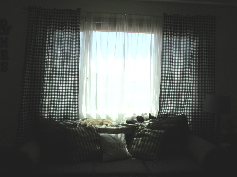 Buffalo Check Curtains with white sheer curtain