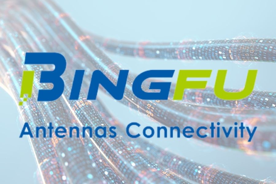 Bingfu Company Logo