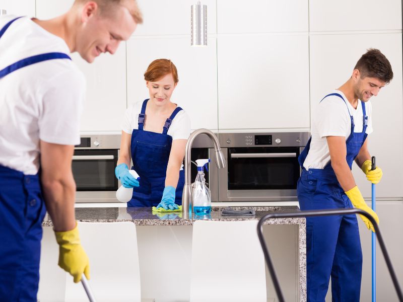 September 17 is National Professional Housecleaners Day