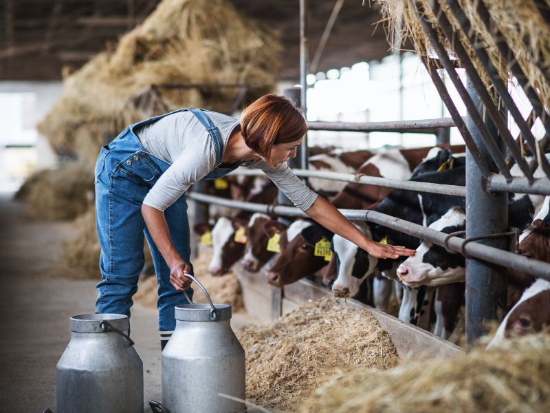 Get fit and make money working on a farm.