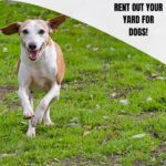 Make Money With Your Home - Rent Out Your Yard For Dogs